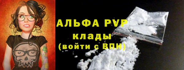 стаф Алексин