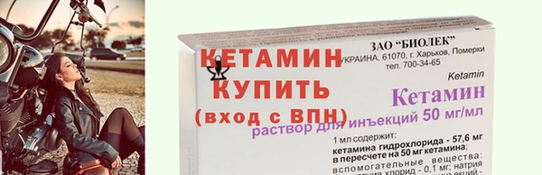 индика Новозыбков