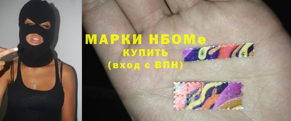 стаф Алексин