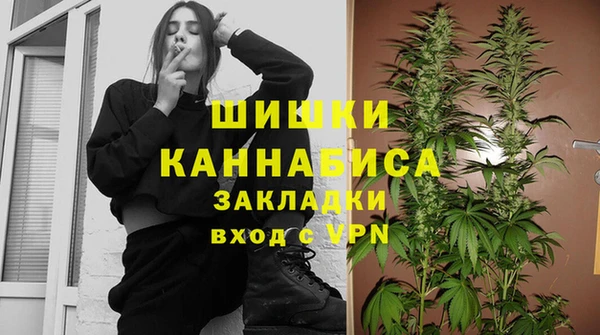 мдма Новодвинск