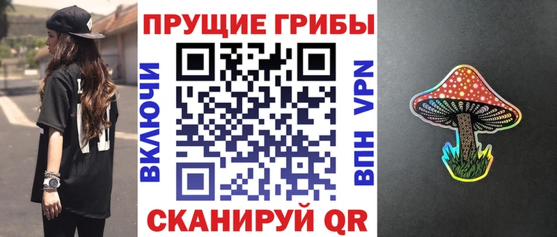 Галлюциногенные грибы мицелий  ОМГ ОМГ tor  Цивильск 